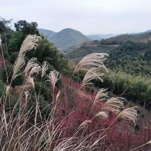 岁月留痕⇔我们一起去冬游