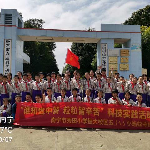 谁知盘中餐，粒粒皆辛苦——崇左市农业科学研究所参观记