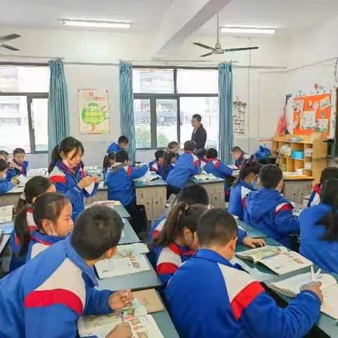 教研伴我行——五年级数学组教研活动