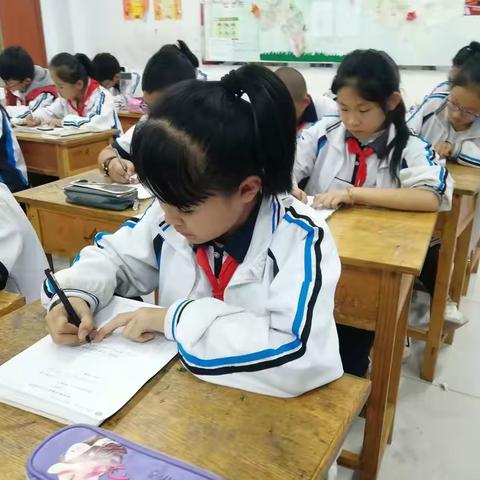 静听花开的声音 ~~情智共赢 幸福一生~~滨城区北城受田小学情商教育课纪实