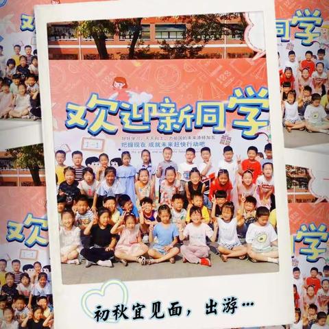 《孩子被告状，你的第一反应很重要》————新区实小二（11）班家校共育线上交流分享