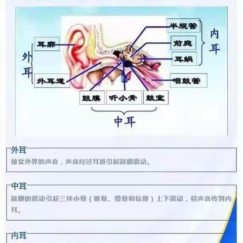 “真爱听力·花开有声”——滦平县第六幼儿园“爱耳日”主题教育活动