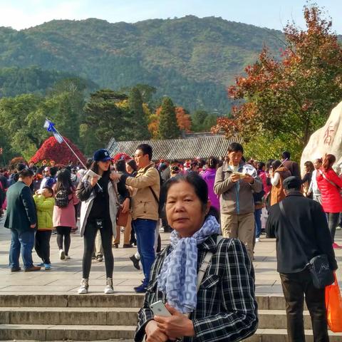 石上松：词牌，柳梢青：香山观赏红叶