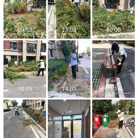 紫金府2022年第三季度工作汇报