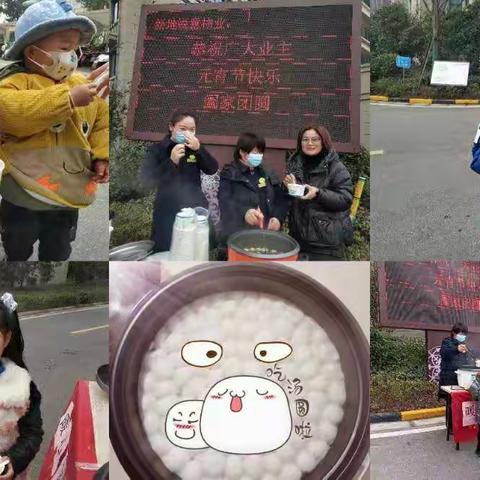 紫金府2022年2月份工作汇报