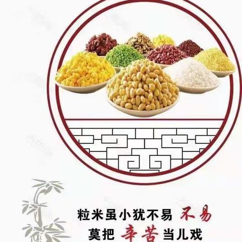 明珠幼儿园爱惜粮食从我做起