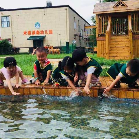 "雨"众不同的夏日