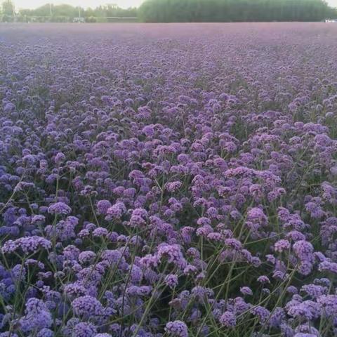 西北行第三站·璀璨酒泉