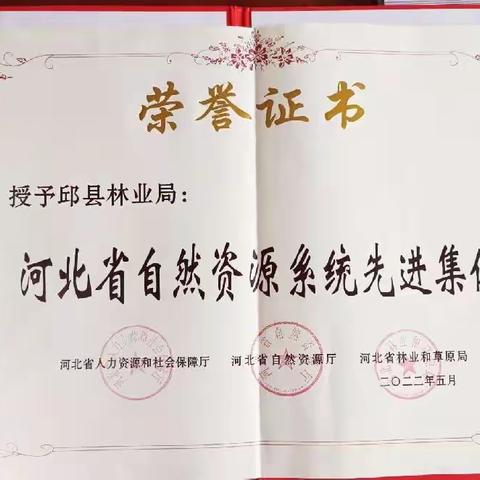 邱县林业2022年喜获丰收