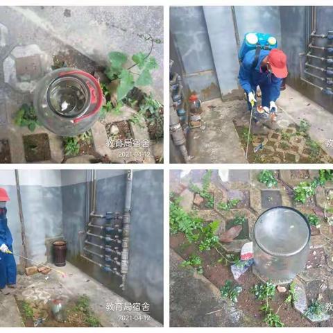 文昌市爱卫办组织海南合维科技有限公司，在文城镇开展“文明健康，绿色环保”第33个爱国卫生活动