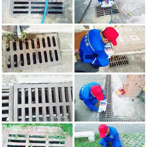 文昌市爱卫办组织海南合维科技有限公司，在文城镇开展“文明健康，绿色环保”第33个爱国卫生活动