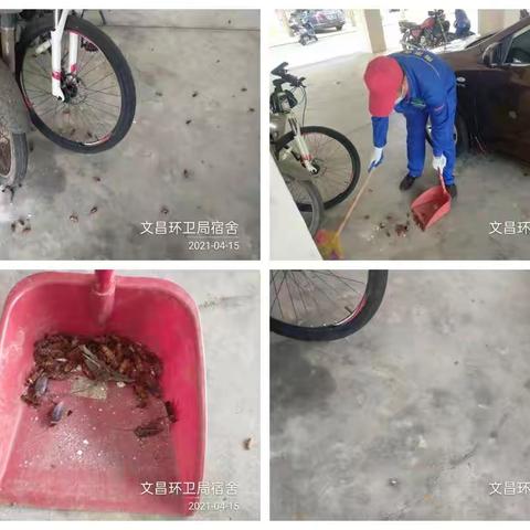 文昌市爱卫办组织海南合维科技有限公司，在文城镇开展“文明健康，绿色环保”第33个爱国卫生活动