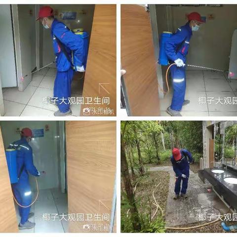 文昌市爱卫办组织海南合维科技有限公司，在文城镇开展“文明健康，绿色环保”第33个爱国卫生活动