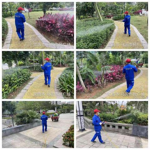 文昌市爱卫办组织海南合维科技有限公司，在文城镇开展“文明健康，绿色环保”第33个爱国卫生活动
