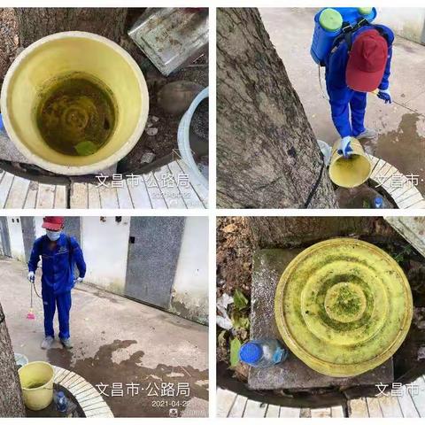 文昌市爱卫办组织海南合维科技有限公司，在文城镇开展“文明健康，绿色环保”第33个爱国卫生活动