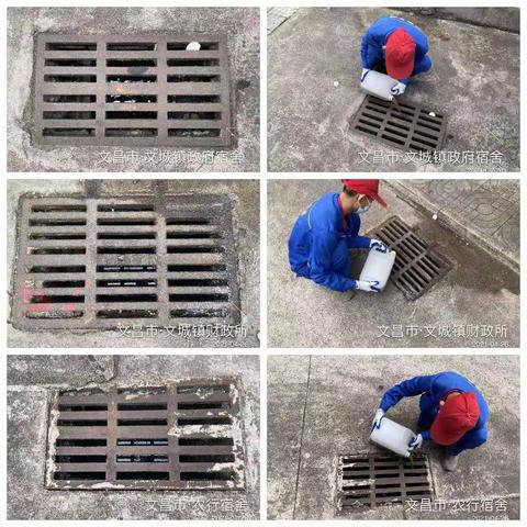 文昌市爱卫办组织海南合维科技有限公司，在文城镇开展“文明健康，绿色环保”第33个爱国卫生活动