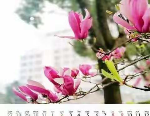 “营养心灵，春暖花开”主题班会                                                       ——XJ1909