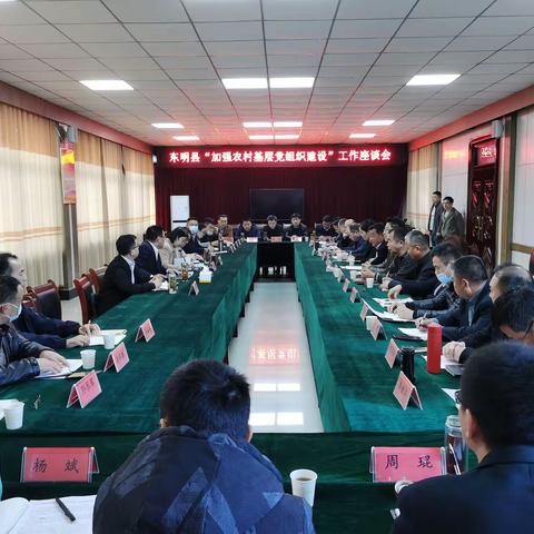 长兴集乡召开“加强农村基层党组织建设”省派工作总队座谈会
