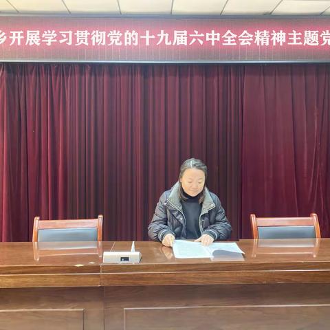 长兴集乡开展学习贯彻党的十九届六中全会精神主题党日活动