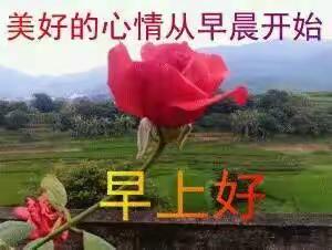 花（专集）……