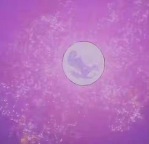 夜は星があります🌙💫