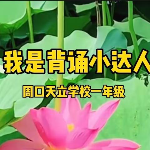 周口天立学校一年级语文，半期系列成果展（五）我是背诵小达人