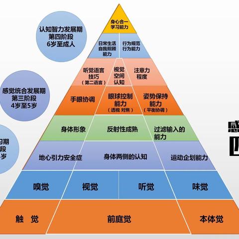 【辰晖感统幼儿园】学期末家长会——感觉统合在儿童发展中的关键作用