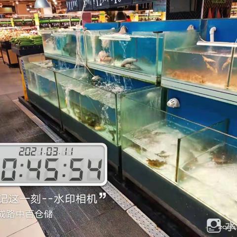 大成路店3月11日生鲜第二次开业报告