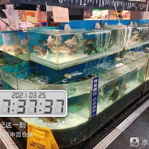 大成路店3月25日生鲜第一次开业报告