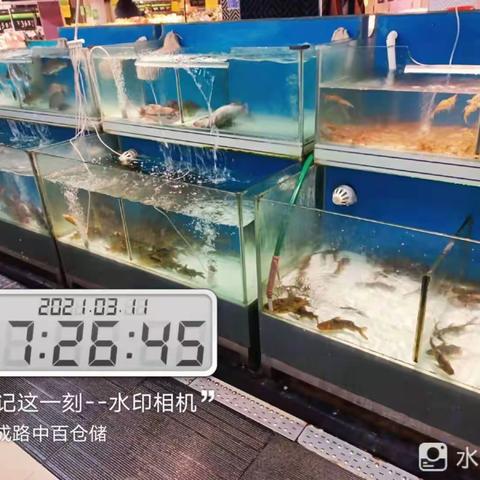 大成路店3月11日生鲜第一次开业报告