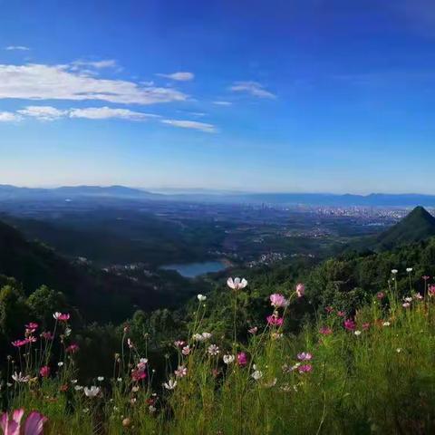 相约北山（记20200801沪、津、金华、东阳四地同学会）