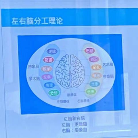 美育幼儿园，美丽幼教人，全脑培训课