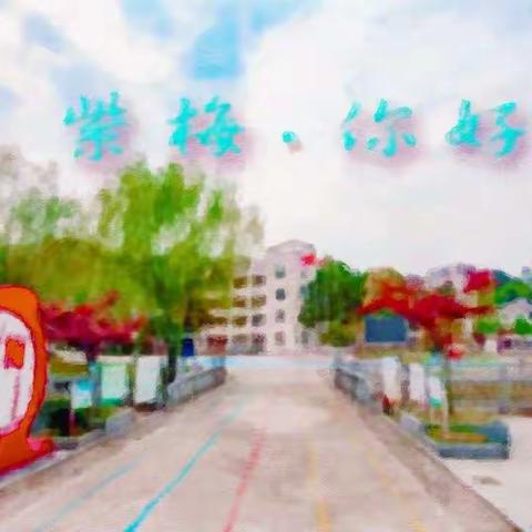 做好幼小衔接 共护新生入学