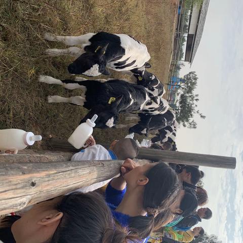 牧场作课堂，旅途见成长