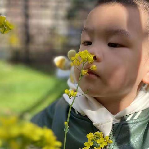 【电幼伊尼希尔托育中心】2023年周故事《春风暖－花开繁》3.13—3.17