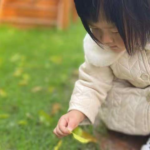 【电幼伊尼希尔托育中心】2022年周故事《冬.叶的童话》11.21—11.25