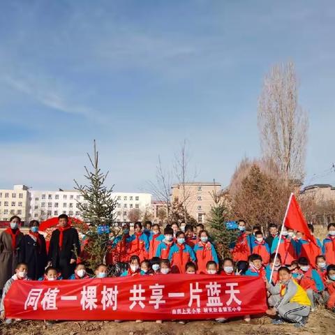 南京市上元小学&特克斯县第五小学3•12线上“同植一棵树，共享一片蓝天”植树活动