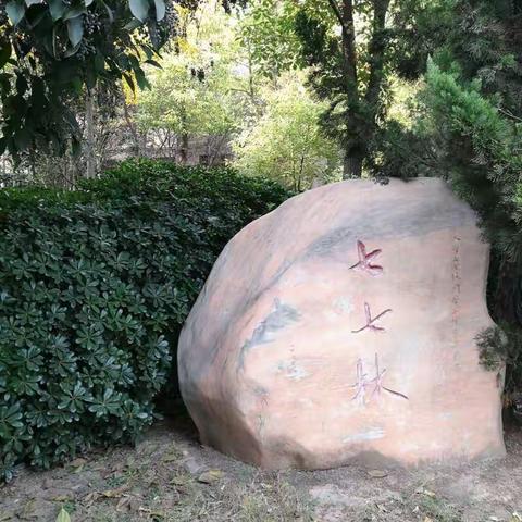 河大足球培训—开封古都记忆