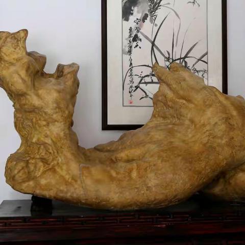 当代赏石界有争议的热点问题透视