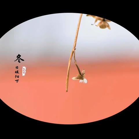 情系教育进校园 心怀桃李论教研——市教科所陆东昂所长莅临我校视察指导工作