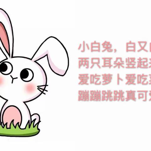 你好，兔子🐰