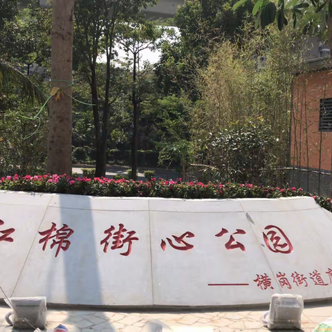 【龙岗城管】市政园林科组织行走横岗街道