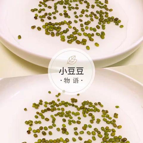 拯救小豆豆