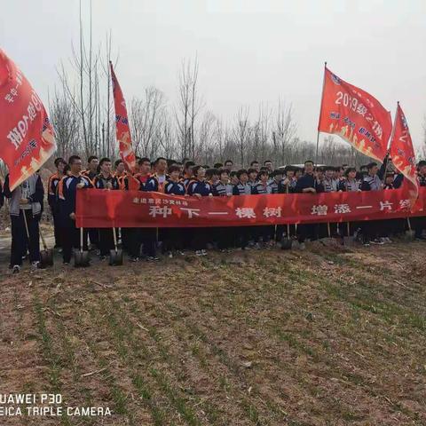 种下一棵树，增添一片绿