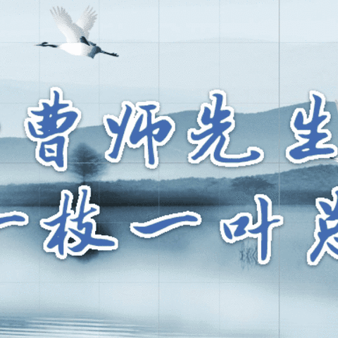些小吾曹师先生，一枝一叶总关情