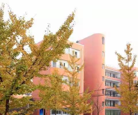 创建智慧校园   建设现代化学校