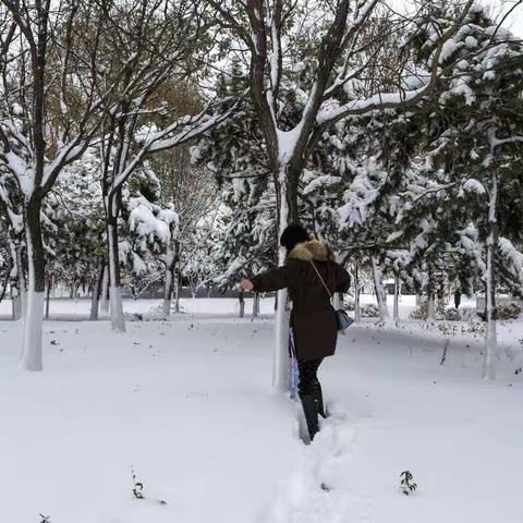 2021年11月8日沈阳第一场大雪