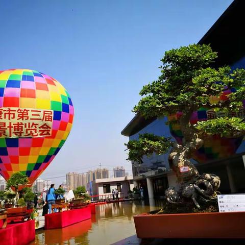 汇秦巴精华 塑植景生命 展艺术人生