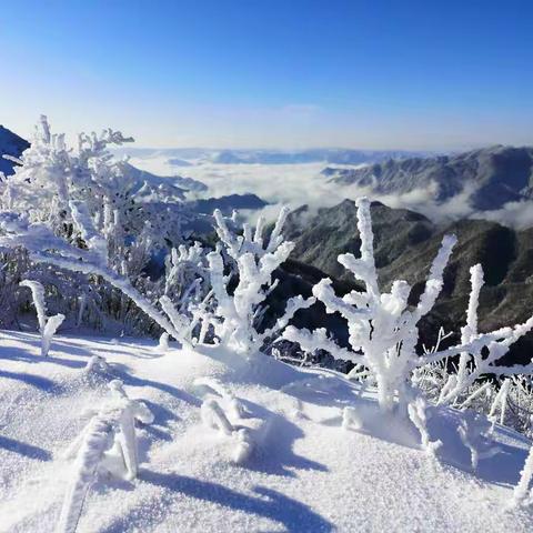 人间仙境 圣洁巴山 ——冬游陕西平利正阳大草原记