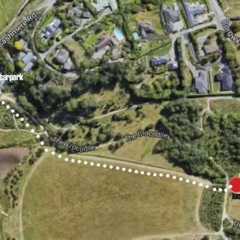 为基督城的中华园植树护林